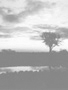 Africa